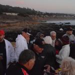 Cambria_0332 (November 02, 2013)